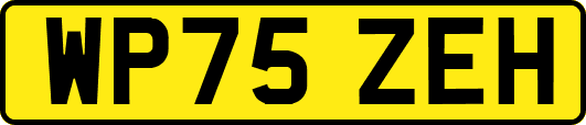 WP75ZEH