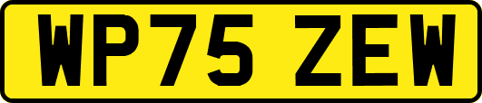 WP75ZEW