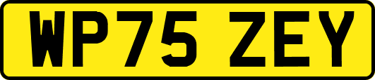 WP75ZEY