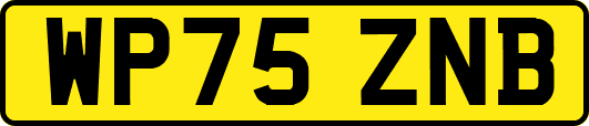 WP75ZNB