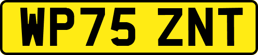 WP75ZNT