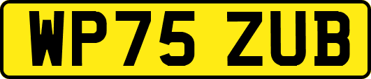 WP75ZUB