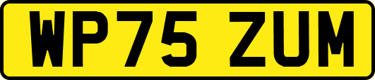 WP75ZUM