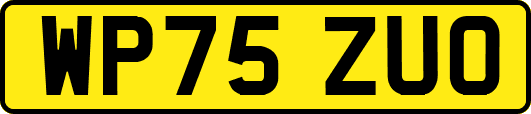 WP75ZUO