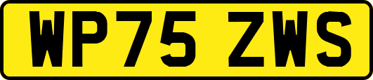 WP75ZWS