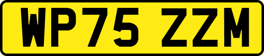 WP75ZZM