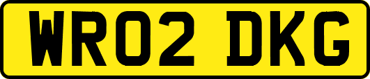 WR02DKG