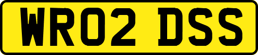WR02DSS