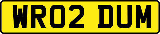 WR02DUM