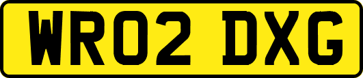 WR02DXG