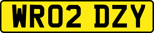 WR02DZY