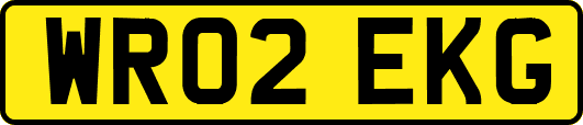 WR02EKG