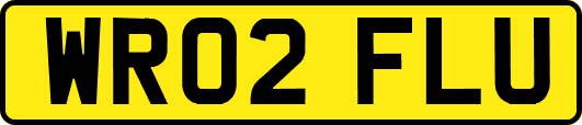WR02FLU