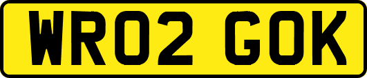 WR02GOK