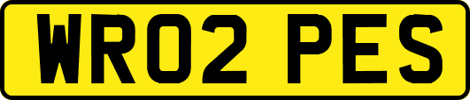 WR02PES
