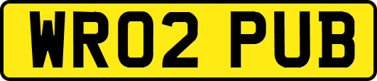 WR02PUB