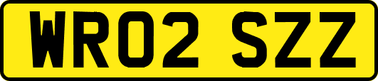 WR02SZZ
