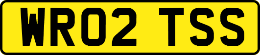 WR02TSS