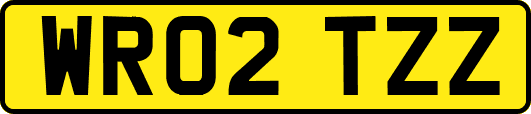 WR02TZZ