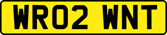 WR02WNT