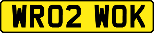 WR02WOK
