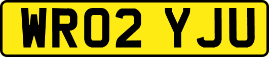 WR02YJU