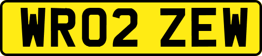 WR02ZEW
