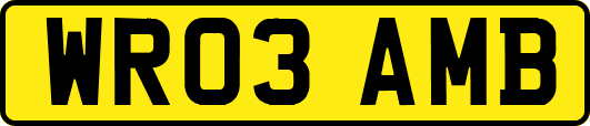 WR03AMB