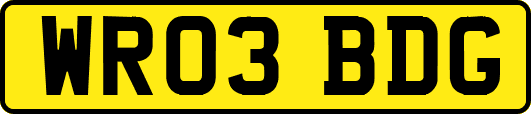 WR03BDG