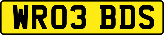 WR03BDS