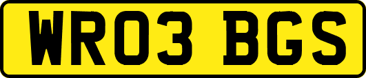 WR03BGS