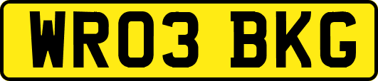 WR03BKG