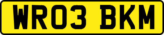 WR03BKM
