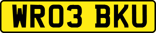 WR03BKU