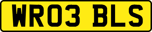 WR03BLS