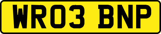 WR03BNP