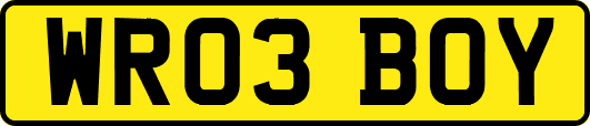 WR03BOY