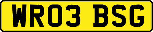 WR03BSG