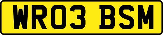WR03BSM