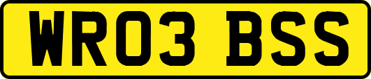 WR03BSS