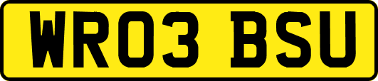WR03BSU