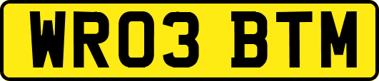 WR03BTM