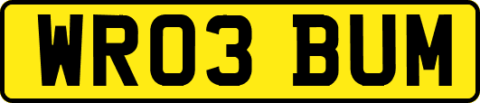 WR03BUM