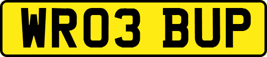 WR03BUP