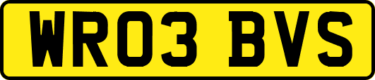 WR03BVS