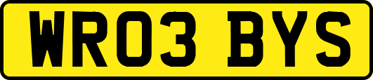 WR03BYS