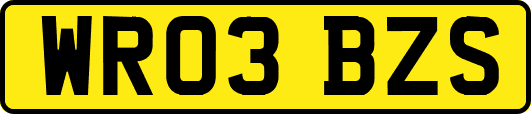WR03BZS