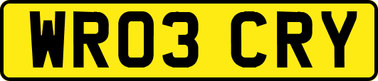 WR03CRY