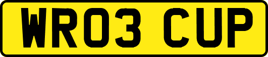WR03CUP