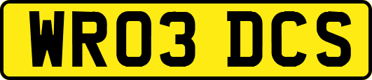 WR03DCS